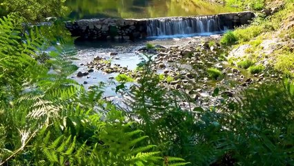 Nature Relaxing Videos for Faster Sleep Yoga and Meditation