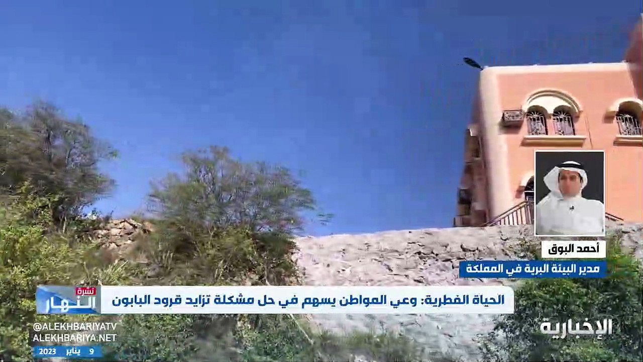 بالفيديو.. مدير عام البيئة البرية في المملكة يك...