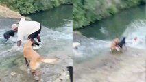 Man hilariously falls into water while trying to save his phone
