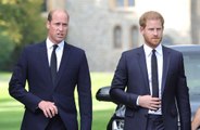 Prince Harry has claimed that the Prince of Wales wanted him to hit him back