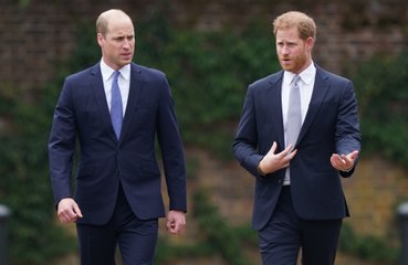 Le prince Harry affirme que William voulait qu’il le frappe en retour