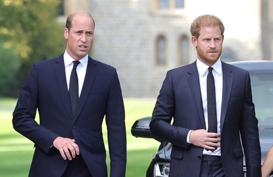 Prinz Harry behauptet, dass Prinz William wollte, dass er ihn zurückschlägt