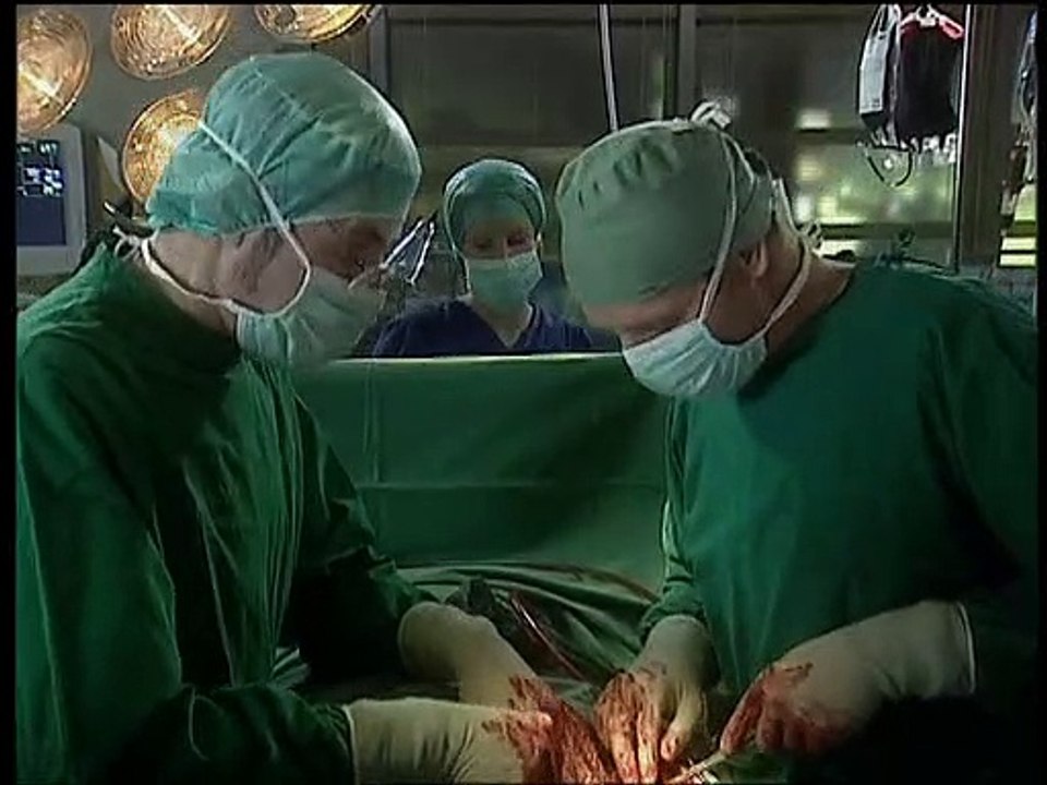 Alphateam - Die Lebensretter im OP Staffel 8 Folge 4