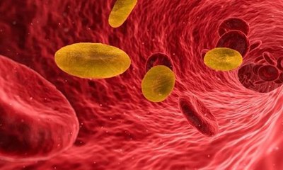 فصيلة دم نادرة لا يمتلكها سوى 43 شخصًا بالعالم