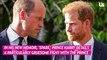 Prince Harry Recalls Physical Fight with Prince William, Thinking His Brother Was ‘Gone’ After Kate Wedding