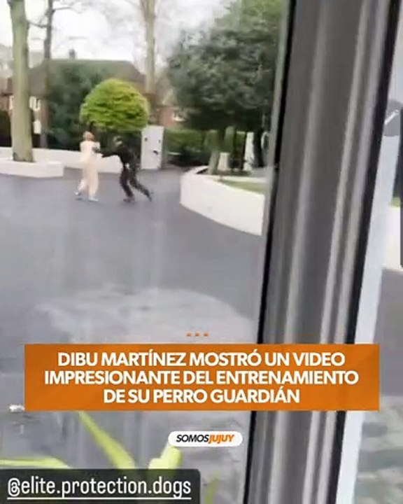perro de dibu martinez