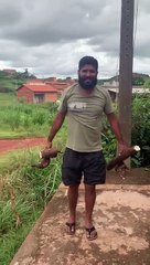 Large Spider Crawls on Brother After Picking Cassava