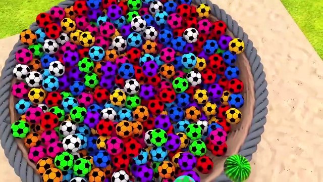 Learn Colors with 5 Street Vehicles and Assembly Fruit Wheels Flying Cars Pretend Play Toys for kids