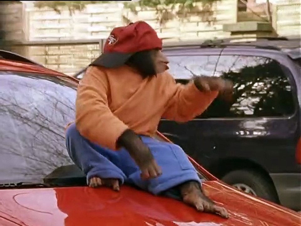 Unser Charly Staffel 10 Folge 1