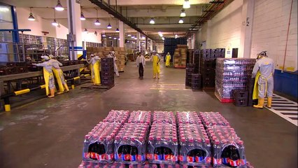 Gabriela, Giros del Destino Capitulo 99