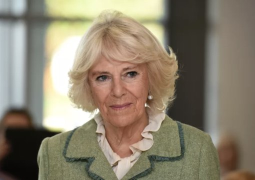 Camilla, Queen Consort, Is Reportedly Astounded by Prince Harry's Memoir Accusations