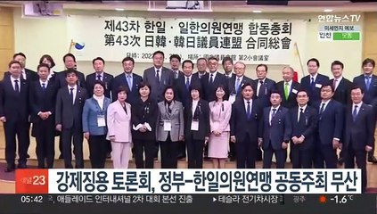 강제징용 토론회, 정부-한일의원연맹 공동주최 무산