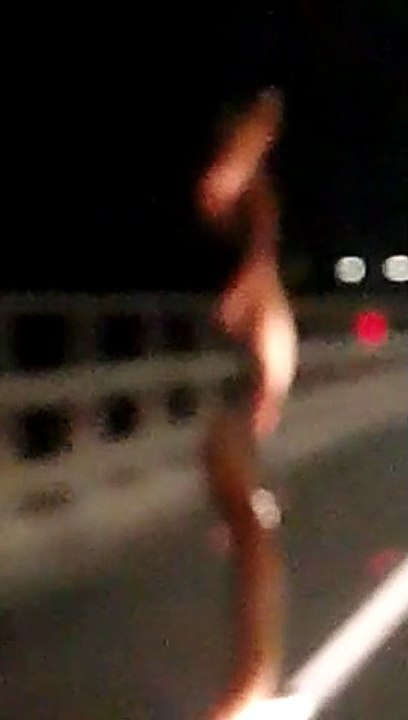 Driving With a Snake Coiled Onto the Car Hood