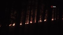 Kaz Dağları'nda ormanlık alanda örtü yangını çıktı