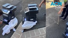 Eastern brown snake found in printer paper tray at Windsor Toyota