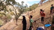 Gathering Acorns Around the Village _ Villagers in Iran