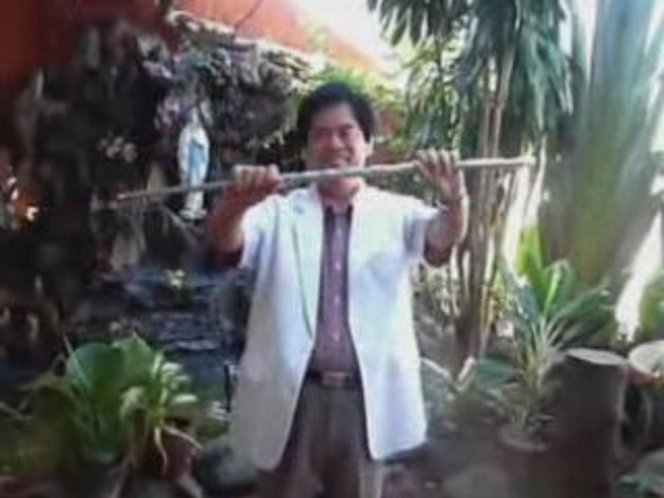 APPEARING CANE BY DR GERTES