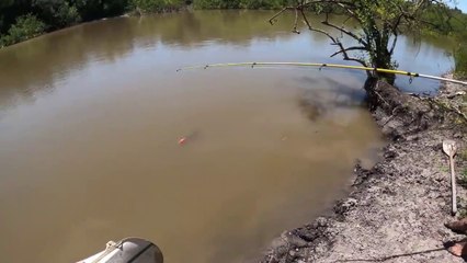 PESCA y Cocina Variada - Acampando y Despidiendo El Año Con Amigos
