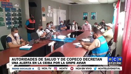 Download Video: Autoridades de Salud y COPECO decretan alerta en La Ceiba por la gripe Aviar