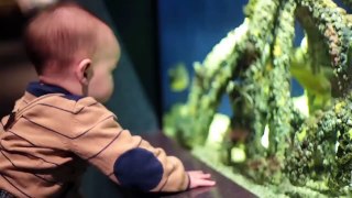 Funny Baby at the Aquarium _ TRY NOT TO LAUGH