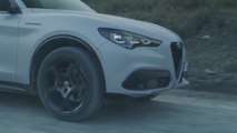 Alfa Romeo startet mit dem Rückenwind von Erfolgen aus 2022 ins neue Jahr