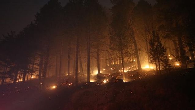 Kaz Dağları'nda yangın! Ekipler söndürmek için seferber oldu