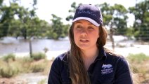 South Australian volunteers fight to keep wombats alive during floods