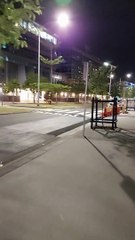 Honeysuckle crossing at night - 2022
