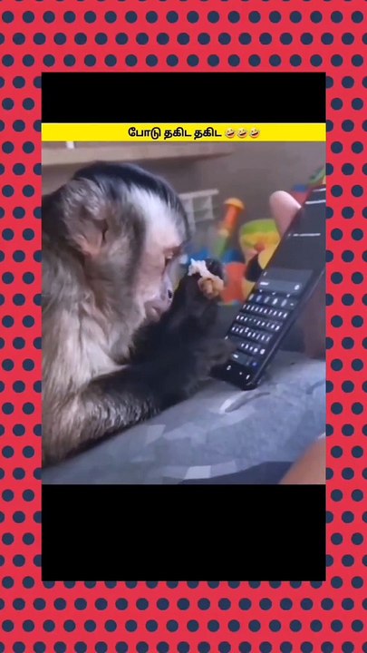 Chatting monkey - enna reply-eh varala