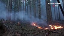 Kaz Dağları’nda ormanlık alanda örtü yangını devam ediyor