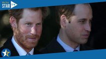 Harry lâché par son frère William la veille de son mariage : un enterrement de vie de garçon... gâch