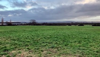 Chichester Harbour Trust Celebrates Two New Land Acquisitions