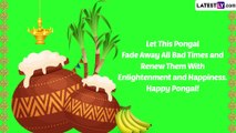 Happy Pongal 2023 Wishes, Greetings & Messages: Share Images To Celebrate the Harvest Festival