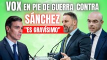  VOX en PIE de GUERRA contra SÁNCHEZ  presentará tres recursos de INCONSTITUCIONALIDAD