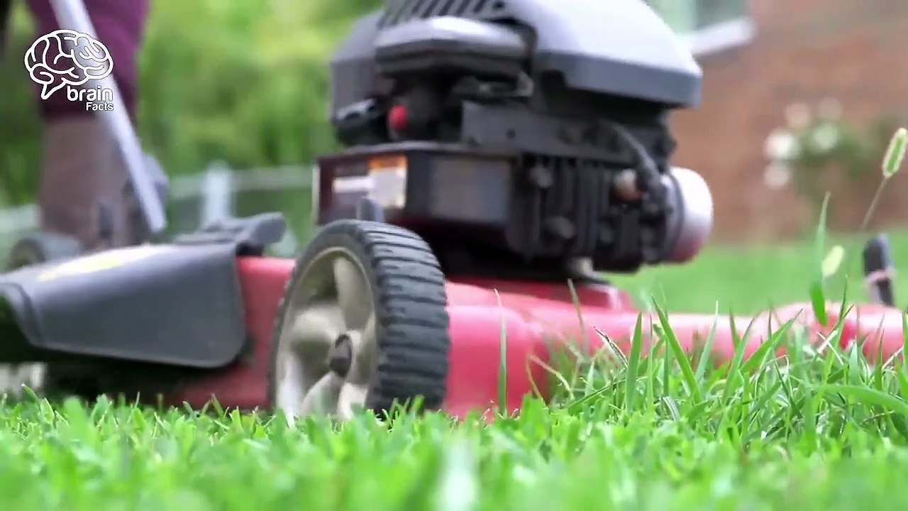 Top Random And Enigmatic Facts About Women’s _ Interesting Facts_Urdu/Hindi