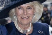 Le prince Harry tacle la reine consort Camilla Parker Bowles qui n'a pas tardé à répondre