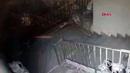 Evinin kapısını kırdığı kayınbabasını ve kayınvalidesini tüfekle yaraladı