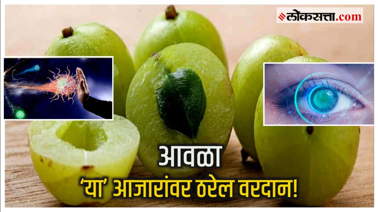 Health Tips: कॅन्सरपासून ते डायबिटीजपर्यंत ‘या’ आजारांवर आवळा ठरेल वरदान! जाणून