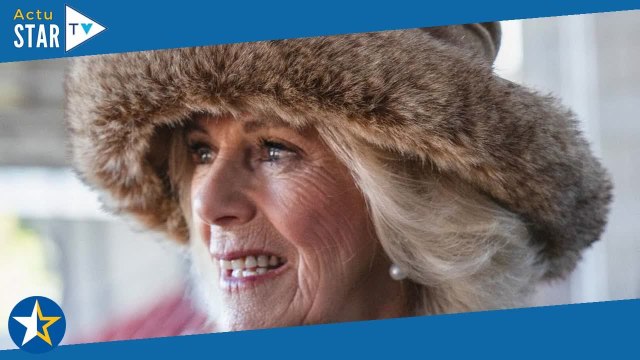 Camilla Parker Bowles : égratignée par le Prince Harry, Elizabeth II aurait été dévastée