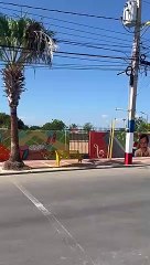 Plasman murales culturales en Castañuelas