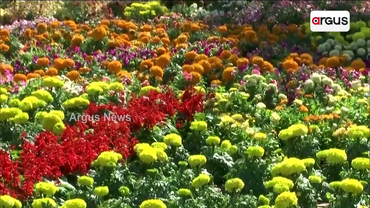 Three-Day Flower Exhibition At Gandhi Udyan In Raipur
