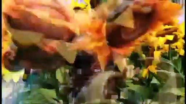 Robot Chicken: Star Wars Episode II Bande-annonce (EN)