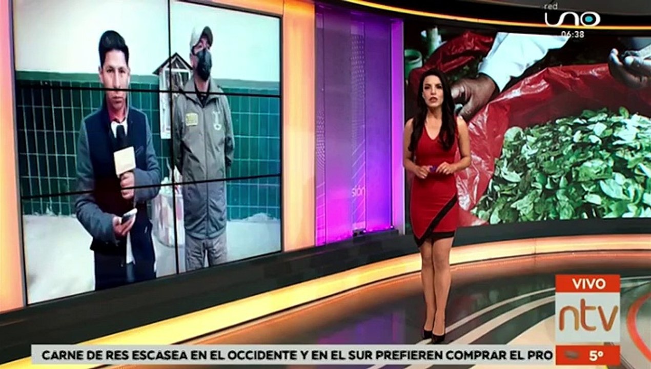 Allanan una casa en El Alto y encuentran gran cantidad de objetos presuntamente robados