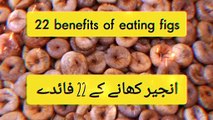 Anjeer khane ke fayde urdu | benefits of eating figs | انجیر کھانے کے فائدے
