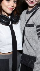 PALISADES PARKS PILOTE