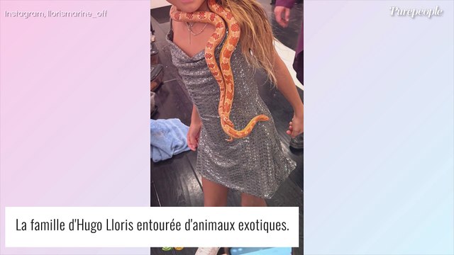 Hugo Lloris : Mygale, serpent, l'improbable dimanche de sa femme Marine et ses filles