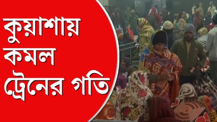 কমল ট্রেনের গতি, কুয়াশার আস্তরণে  বিপর্যস্ত পরিবহণ ব্যবস্থা