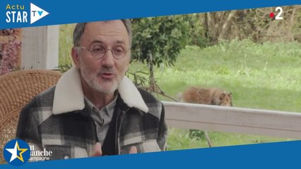 Un dimanche à la campagne déprogrammée, voici pourquoi l'émission de Frédéric Lopez va quitter l'ant