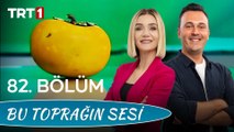 Bu Toprağın Sesi 82. Bölüm - Meyvecilik ve Meyve Fidanı Budamasında Dikkat Etmemiz Gerekenler