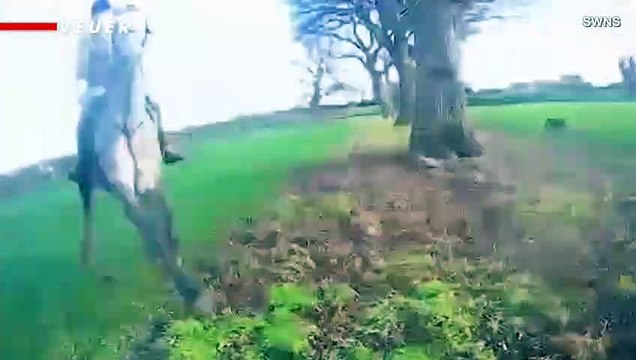 Animal Welfare Volunteer Captures Video of Mounted Hunter Threatening to ‘Kill’ Him While Running Him Down On Horseback